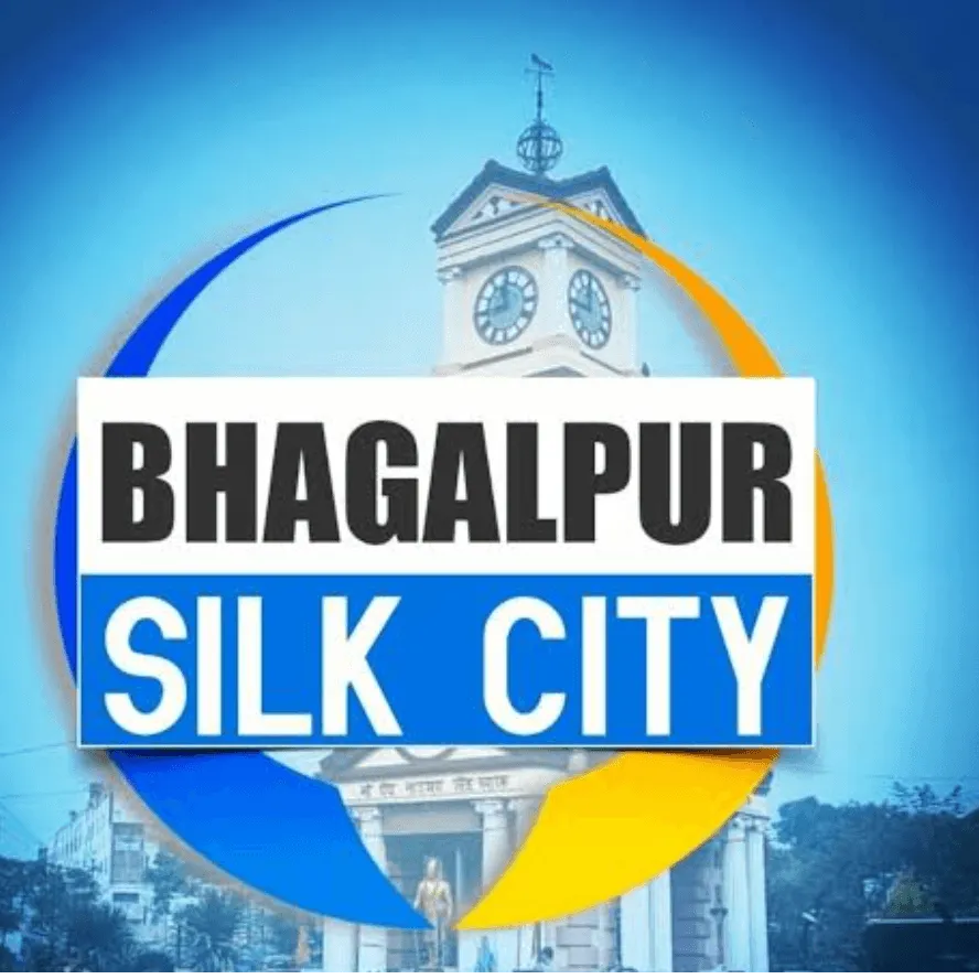 bhagalpurcitysilk.com